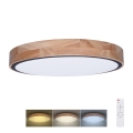 LED Dimmabilna stropna svjetiljka IRON OAK LED/60W/230V 3000-6500K hrast promjer 51 cm + daljinski upravljač