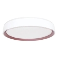 LED Dimmabilno stropno svjetlo s glasovnim upravljanjem OPAL LED/48W/230V 2700-6500K bijela + daljinski upravljač