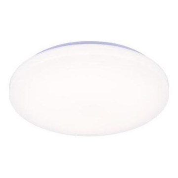 LED Dimmabilno stropno svjetlo s glasovnim upravljanjem OPAL LED/48W/230V 2700-6500K bijela + daljinski upravljač