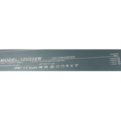 LED Elektronički transformator 250W/12V IP67