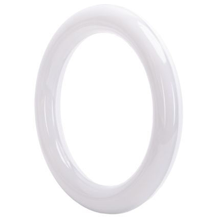 LED Fluorescentna cijev G10q/14W/230V 6500K - Aigostar
