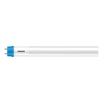LED fluorescentna cijev Philips T8 G13/31,5W/230V 3000K 150 cm