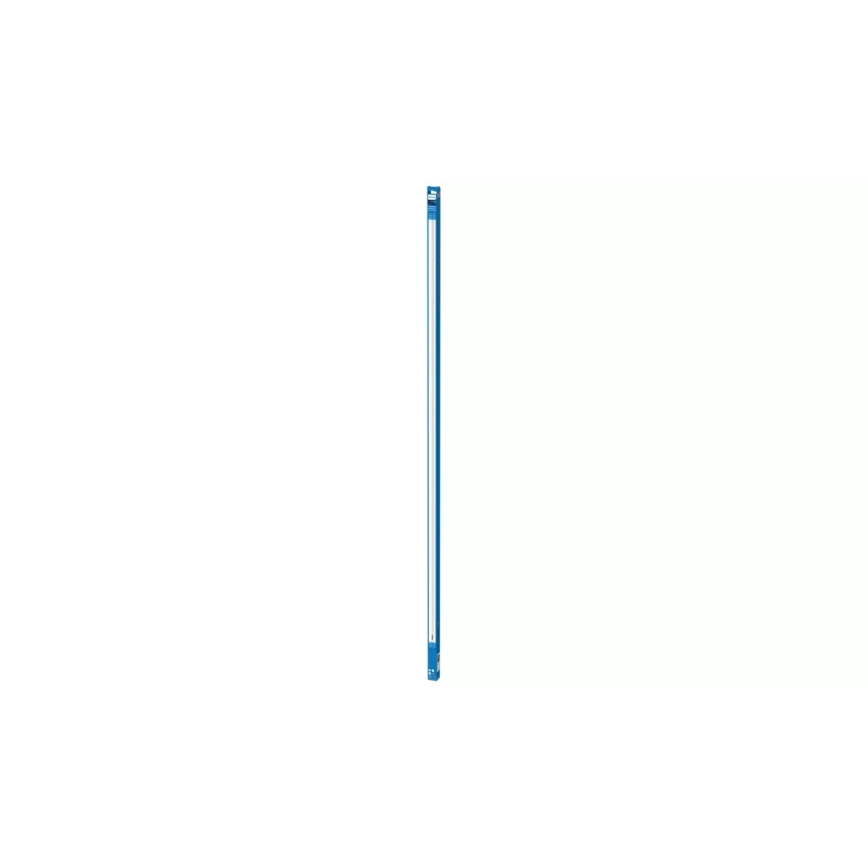 LED fluorescentna cijev Philips T8 G13/31,5W/230V 3000K 150 cm