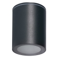 LED Kanlux 33362 - Vanjska reflektorska svjetiljka AQILO 1xGU10/7W/230V IP65 antracit