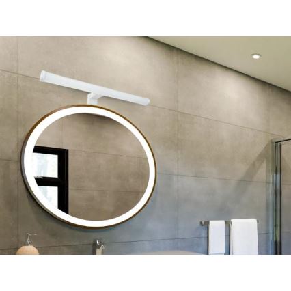 LED kupaonska rasvjeta za ogledalo LED/10W/230V 45 cm IP44 bijela