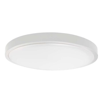 LED kupaonsko stropno svjetlo LED/18W/230V 4000K IP44 Ø 25 cm bijelo