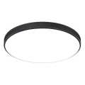 LED kupaonsko stropno svjetlo LOGAN LED/20W/230V 6000K IP44 Ø 26 cm crna