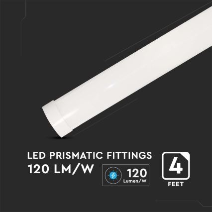 LED Linearna svjetiljka SAMSUNG CHIP LED/40W/230V 6500K 120 cm
