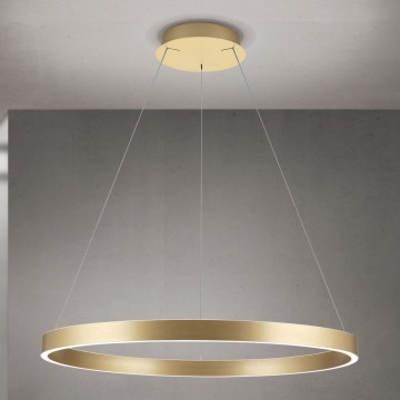 LED luster na kablu s mogućnošću prigušivanja KOLK LED/80W/230V 2700/3000/4000K Ø 80 cm zlatni