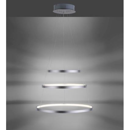 Leuchten Direkt 11526-55 - LED Luster na lancu za prigušivanje CIRCLE 1xLED/13,5W/230V + LED/19,5W + LED/24W