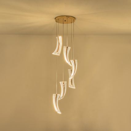LED Luster na sajli 6xLED/10W/230V 3000K