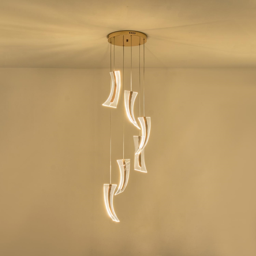 LED Luster na sajli 6xLED/10W/230V 3000K