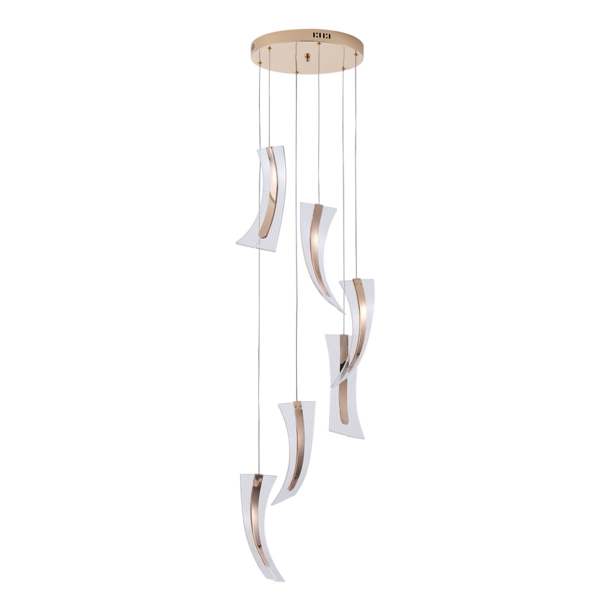 LED Luster na sajli 6xLED/10W/230V 3000K