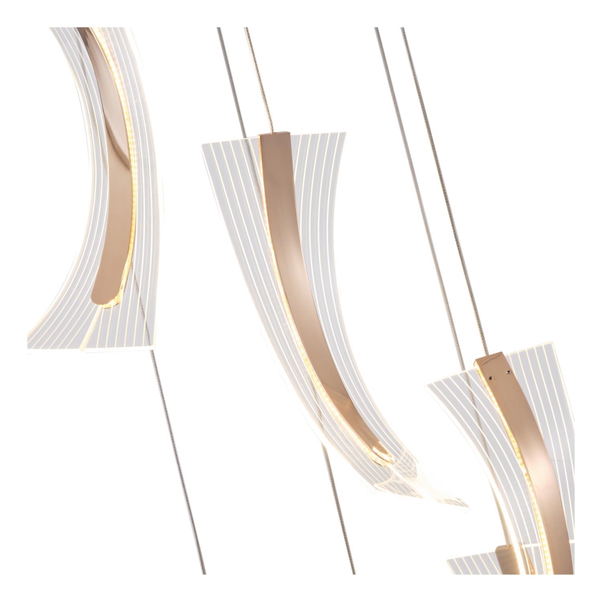 LED Luster na sajli 6xLED/10W/230V 3000K