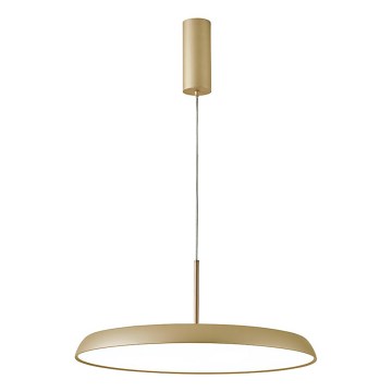 LED luster na sajli ART LED/41W/230V zlatni