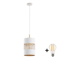 LED luster na sajli BOGART 1xE27/15W/230V bijela/zlatna