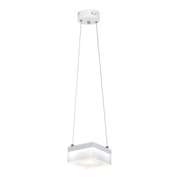 LED luster na sajli CUBO LED/12W/230V kvadrat