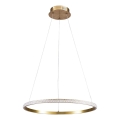 LED luster na sajli DIANA LED/25W/230V 4000K pr. 50 cm zlatna