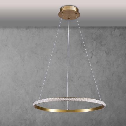 LED luster na sajli DIANA LED/25W/230V 4000K pr. 50 cm zlatna