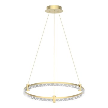 LED Luster na sajli ELEGANCE LED/36W/230V pr. 60 cm zlatna