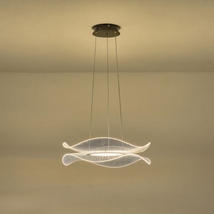 LED Luster na sajli FIRENZE LED/48W/230V 3000K pr. 54 cm