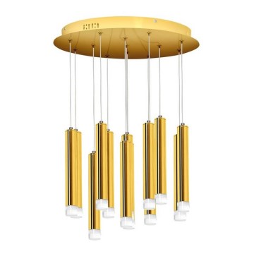LED Luster na sajli GOLDIE 13xLED/12W/230V zlatna