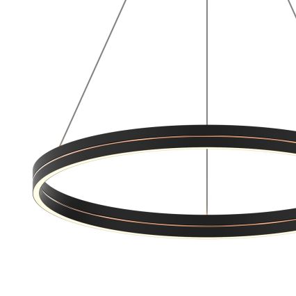 LED Luster na sajli GRAVITY LED/36W/230V crna