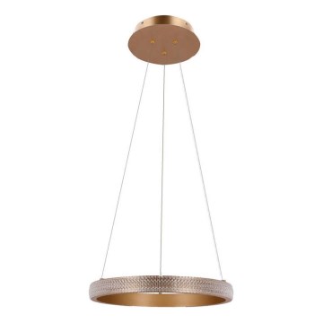 LED Luster na sajli HASHIM LED/22W/230V pr. 40 cm bakrena