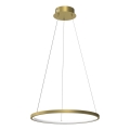 LED Luster na sajli HOOP LED/27W/230V pr. 50 cm 4000K zlatna