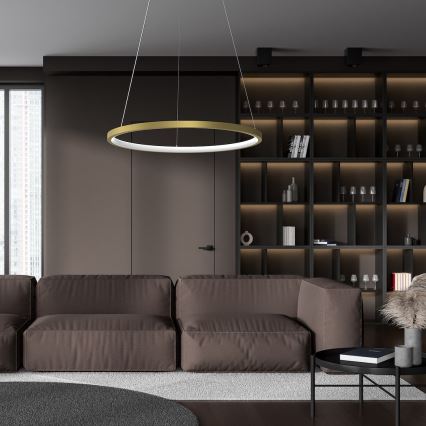 LED Luster na sajli HOOP LED/27W/230V pr. 50 cm 4000K zlatna