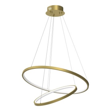 LED Luster na sajli HOOP LED/51W/230V pr. 60 cm 4000K zlatna
