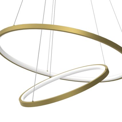 LED Luster na sajli HOOP LED/51W/230V pr. 60 cm 4000K zlatna