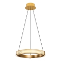 LED luster na sajli JESI LED/22W/230V 3000K pr. 40 cm zlatna
