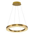 LED luster na sajli JESI LED/85W/230V 3000K pr. 80 cm brončani