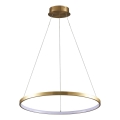 LED Luster na sajli LEA LED/20W/230V 4000K pr. 50 cm zlatna