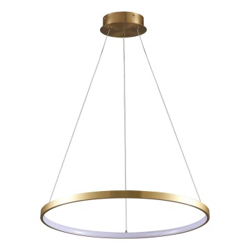 LED Luster na sajli LEA LED/20W/230V 4000K pr. 50 cm zlatna