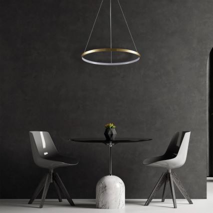 LED Luster na sajli LEA LED/20W/230V 4000K pr. 50 cm zlatna