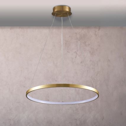 LED Luster na sajli LEA LED/20W/230V 4000K pr. 50 cm zlatna