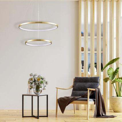 LED Luster na sajli LEA LED/35W/230V 4000K pr. 60 cm zlatna