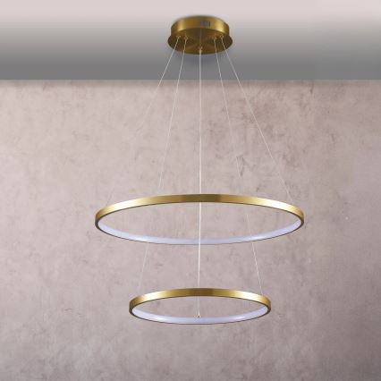 LED Luster na sajli LEA LED/35W/230V 4000K pr. 60 cm zlatna