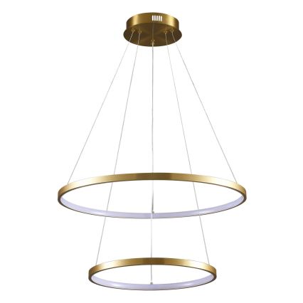 LED Luster na sajli LEA LED/35W/230V 4000K pr. 60 cm zlatna