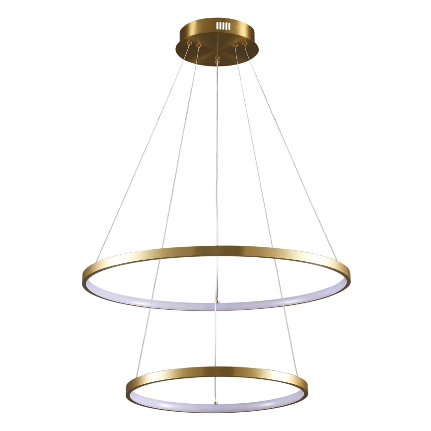 LED Luster na sajli LEA LED/35W/230V 4000K pr. 60 cm zlatna