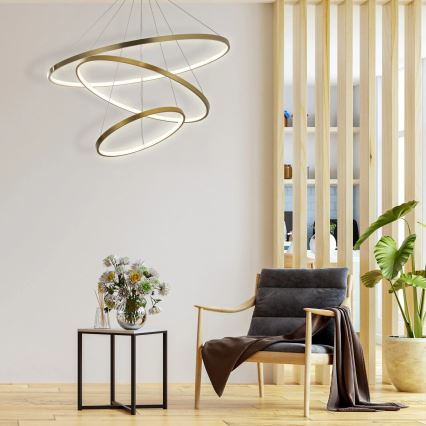 LED Luster na sajli LEA LED/60W/230V 4000K pr. 80 cm zlatna