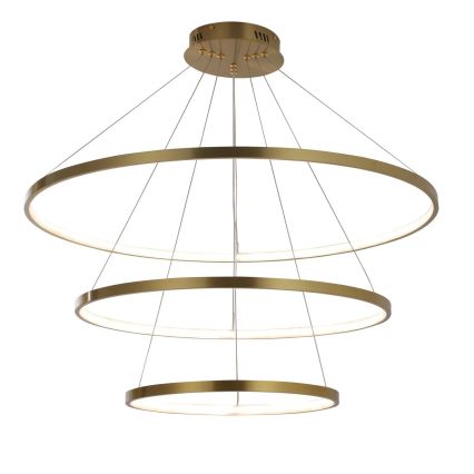 LED Luster na sajli LEA LED/60W/230V 4000K pr. 80 cm zlatna