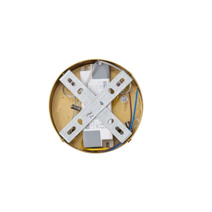 LED Luster na sajli LED/19W/230V 3000K