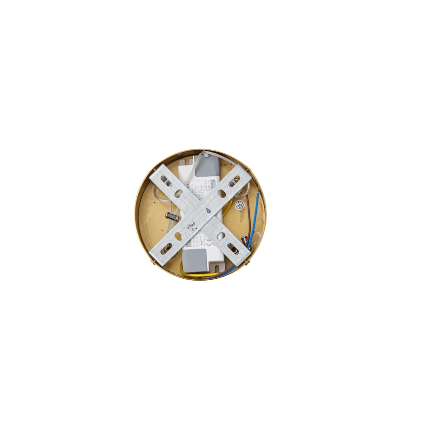 LED Luster na sajli LED/19W/230V 3000K
