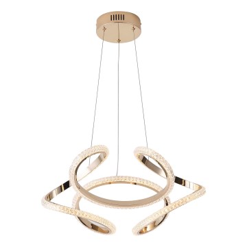 LED Luster na sajli LED/24W/230V 3000K 50x120 cm