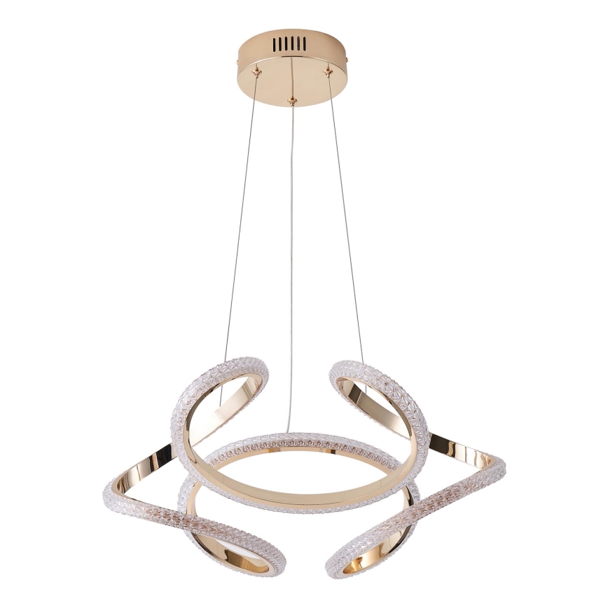 LED Luster na sajli LED/24W/230V 3000K 50x120 cm