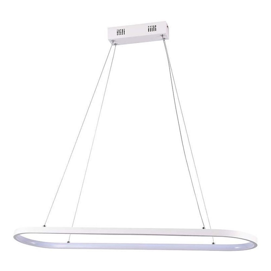 LED Luster na sajli LED/24W/230V 3000K bijela