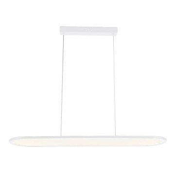 LED Luster na sajli LED/24W/230V 4000K bijela